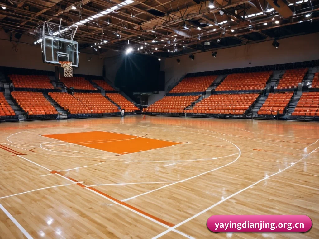 五大服务分区,信息按项目分类 - 多运动项目内容板块